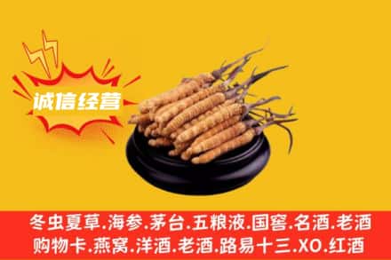 佛山回收冬虫夏草